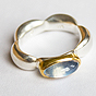 Ring Gitter